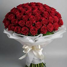 Букет 101 Красная роза Блэк Мэджик в Усть-Коксе