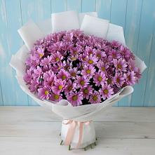 Букет цветов из:  Хризантемы в Усть-Коксе