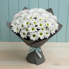 Букет цветов из:  Хризантемы в Усть-Коксе