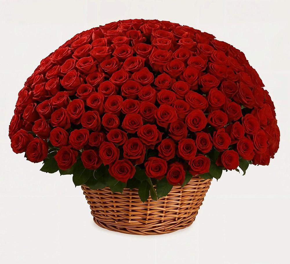 Премиум букет из: Розы в Усть-Коксе