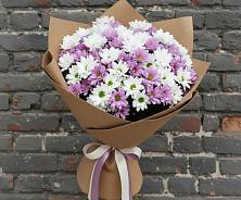 Букет цветов из:  Хризантемы в Усть-Коксе