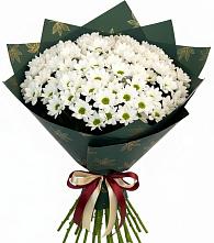 Букет цветов из:  Хризантемы в Усть-Коксе