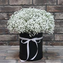 Цветочная композиция из Гипсофила в шляпной коробке в Усть-Коксе