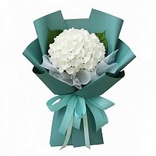 Букет цветов из:  Гортензия #REPLACE_PRED# Усть-Коксе